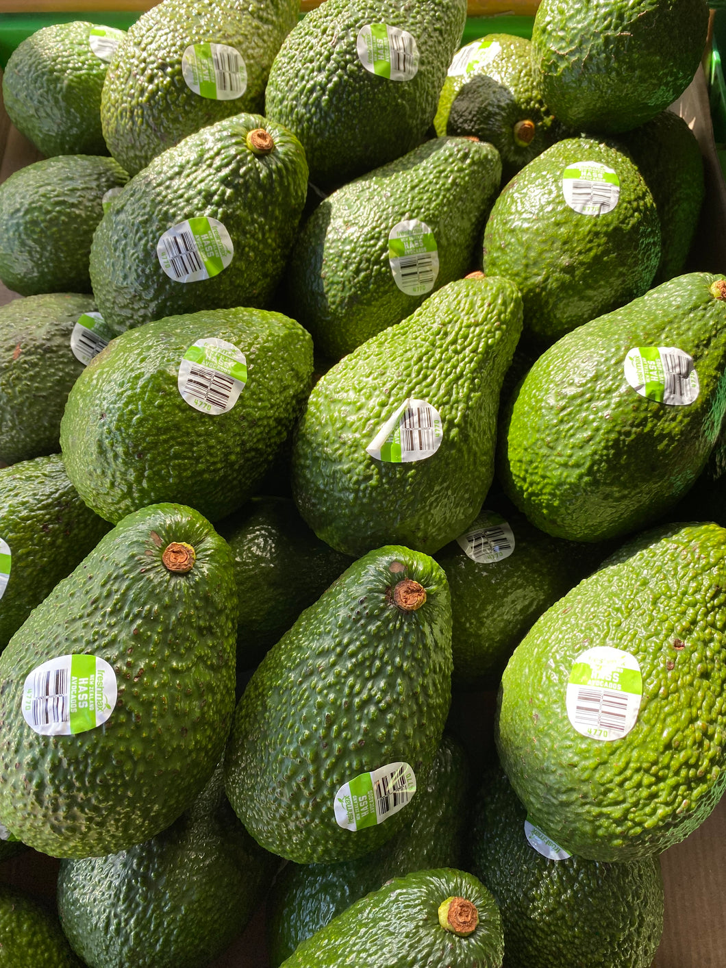 NZ Large Hass Avocados